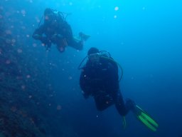 Corse_INCANTU_2024